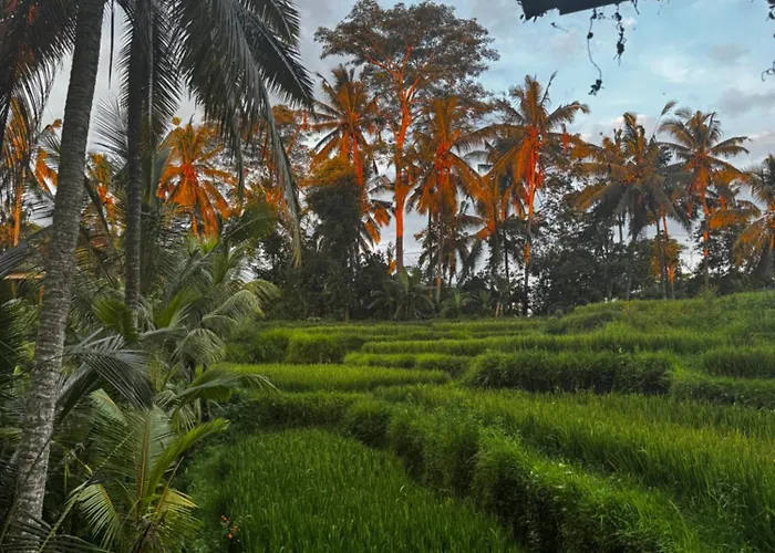 Uma-ijo Villa